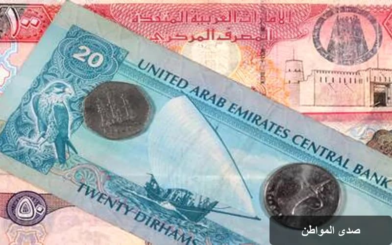 موانئ أبوظبي تسجل إنجازاً تاريخياً بأعلى أرباح فصلية في تاريخها