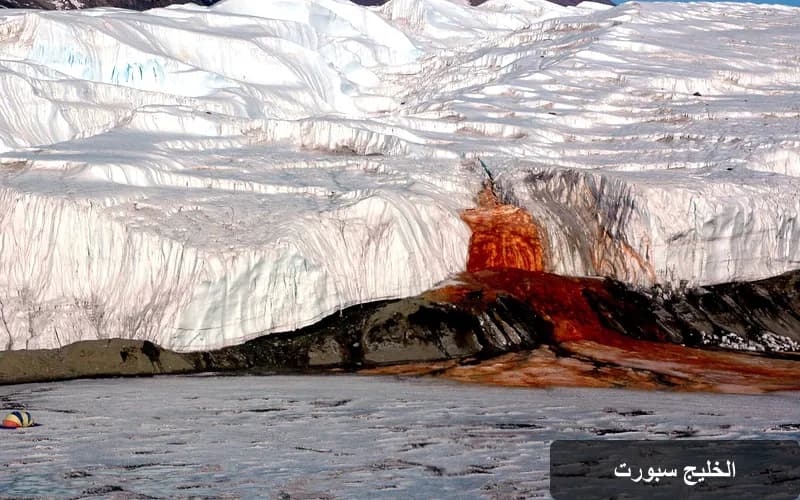 شلالات الدم: اكتشاف بيئي مذهل في القارة القطبية الجنوبية