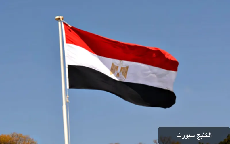 رحيل الكاتب المصري رضا البهات: إسهامات أدبية وإنسانية لا تُنسى