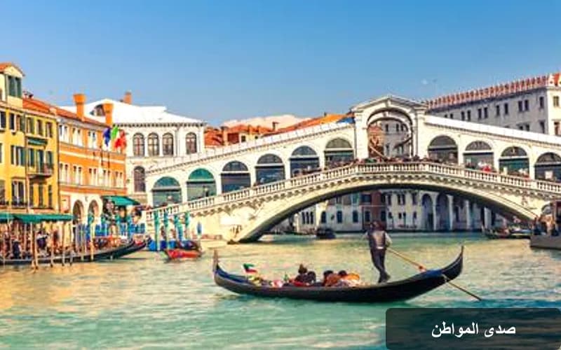 ظهور دلفين في القناة الكبرى بالبندقية: حدث نادر يجذب الانتباه