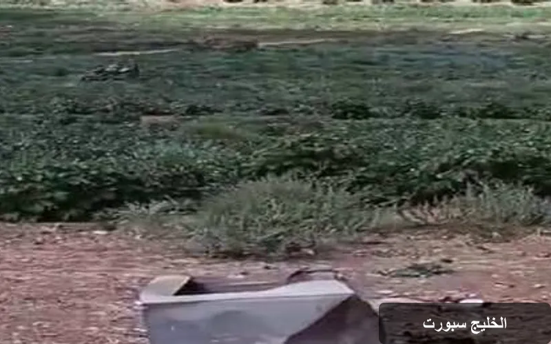 إجراءات صارمة في درعا: إتلاف محاصيل مروية بمياه الصرف الصحي ومصادرة المضخات