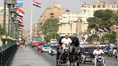 مصر تعلن عن مكافأة ضخمة لاسترجاع كلبة مفقودة: حالة إنسانية تستدعي التعاون