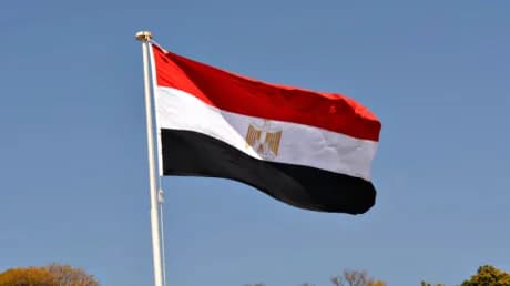 مصر تحذر من الأخبار المغلوطة: دعوة للتأكد من المصادر