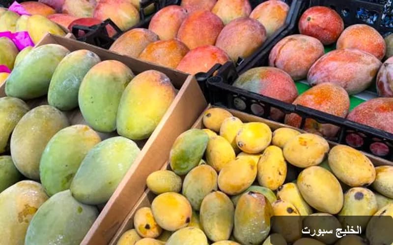 مهرجان المانجو المصري: احتفالية زراعية في قلب القاهرة تحت شعار "الذهب الاستوائي"