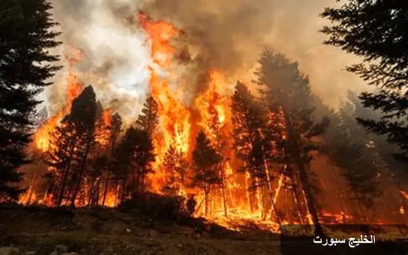 حرائق الغابات في أوروبا: الأسباب والوقاية في ظل التغيرات المناخية