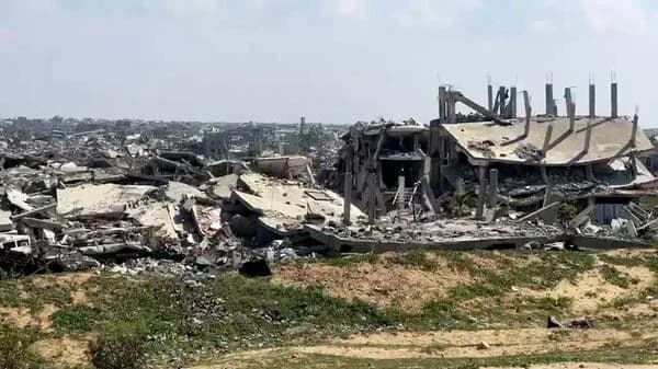 مزارعون في غزة يتحدون التحديات ويزرعون بالقرب من الخط الأصفر