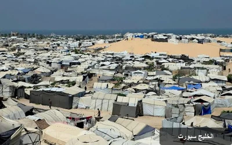 الأراضي الزراعية في غزة: 3% فقط ما زالت صالحة للإنتاج وسط أزمة خانقة