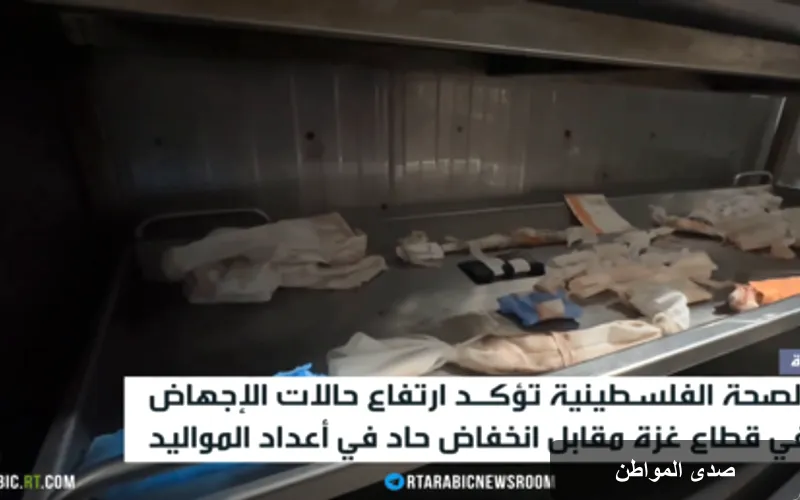 تحديات صحية في غزة: تراجع معدلات المواليد وأسباب الإجهاض القسري