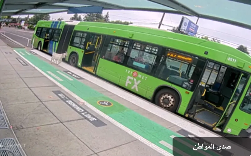 حادثة غير اعتيادية: غنزتان تثيران الجدل في بورتلاند الأمريكية