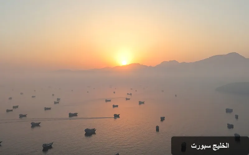 مضيق هرمز: صراع السيادة بين الولايات المتحدة وإيران