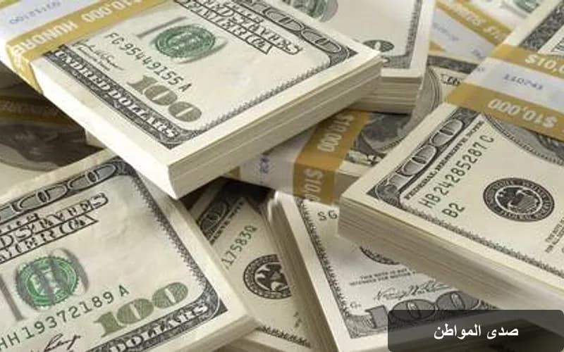 الهند تحقق إنجازًا اقتصاديًا: تحويلات مواطنيها بالخارج تتجاوز 50 مليار دولار