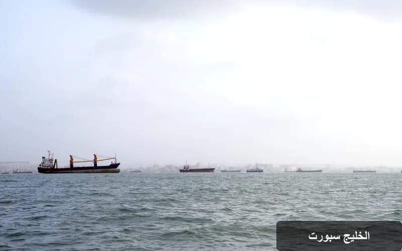 تطورات مضيق هرمز: استهداف سفينة فيلا نوفا وتداعياته على حركة الملاحة
