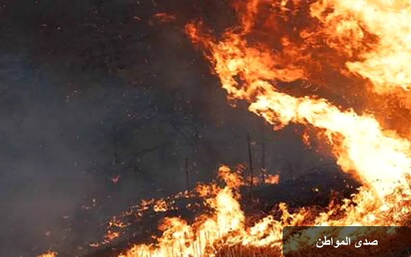 حرائق هائلة في غرب كولونيا: إجلاء 1800 شخص وتهديدات مستمرة