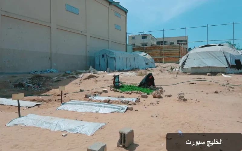 ذكريات مؤلمة بين أنقاض المنازل: الفلسطينيون يواجهون آثار الحرب في غزة