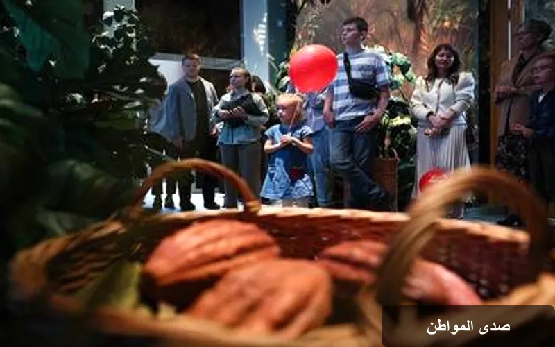 موسكو تحتفل بافتتاح متحف تفاعلي مخصص لصناعة الشوكولاتة