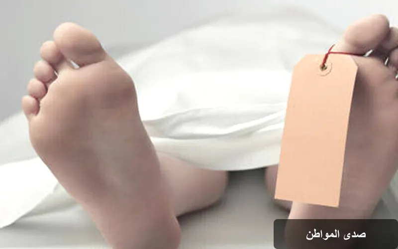البعوض: الكائن القاتل الذي يفتك بـ 700 ألف شخص سنوياً