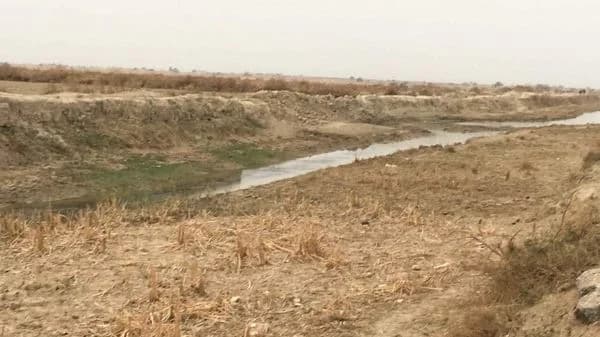 اكتشاف كهف غامض في العراق: نهر تحت الأرض وأسماك عمياء نادرة