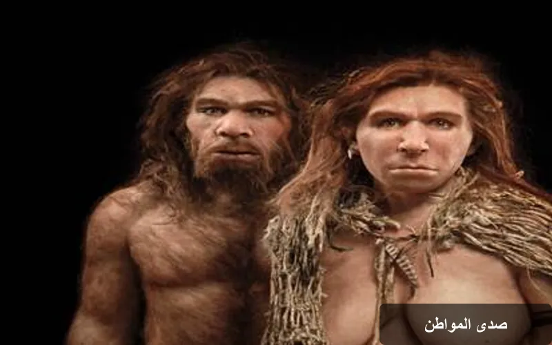 اكتشاف جيني يربط بين النياندرتال والقوة البدنية للبشر المعاصرين
