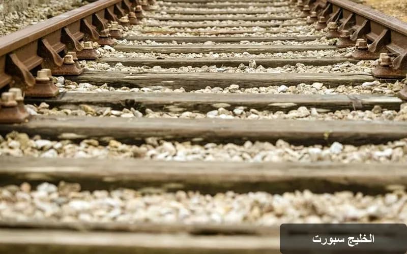 آفاق جديدة للتكامل الاقتصادي بين ليبيا ومصر من خلال الربط السككي