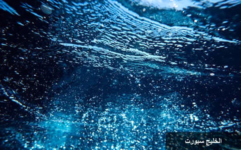 اكتشاف مذهل لسمكة جوفية جديدة في الهند: Gangaichthys indonepalicus