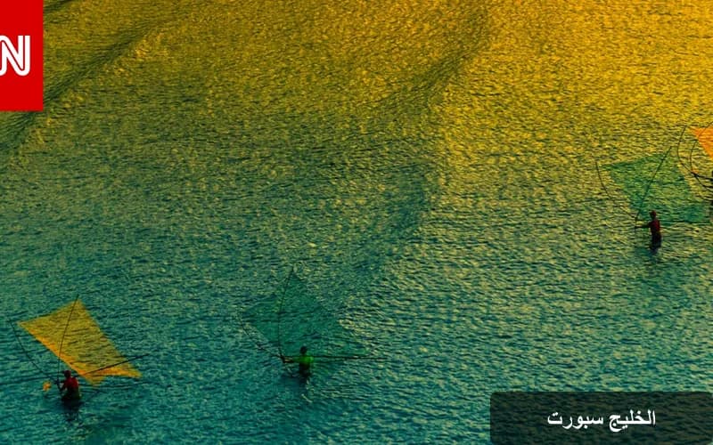 عالم المحيطات: قصص مذهلة تحت الماء تتجلى عبر عدسات المصورين