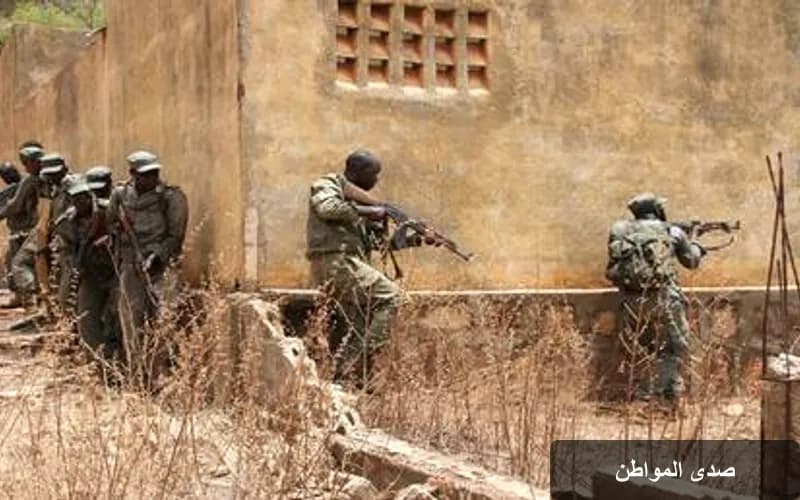 الإفراج عن 82 جندياً في مالي: تطورات جديدة في النزاع المستمر
