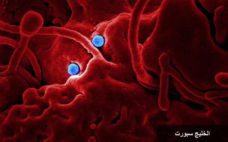 ابتكار روسي جديد: مركبات فضية لمكافحة البكتيريا المقاومة