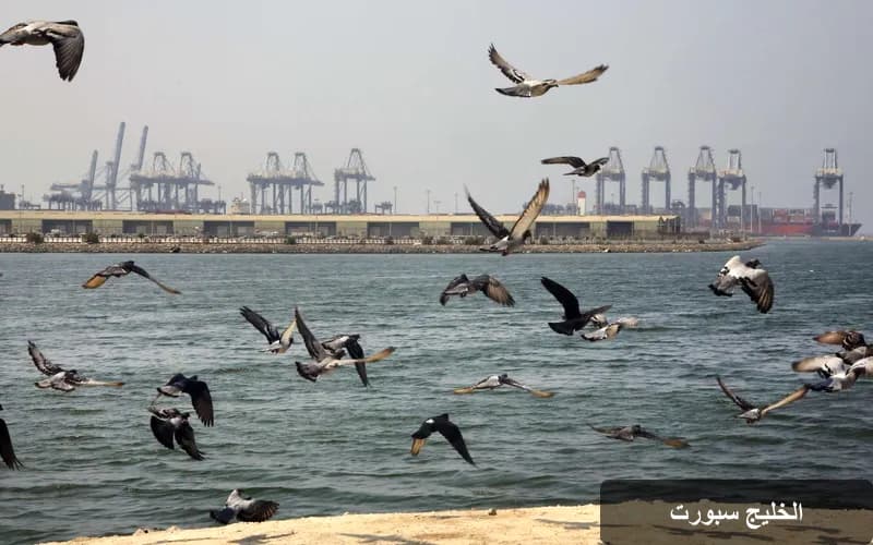 السعودية تقود التحالف البحري الدفاعي: 15 دولة توقع على البيان المشترك