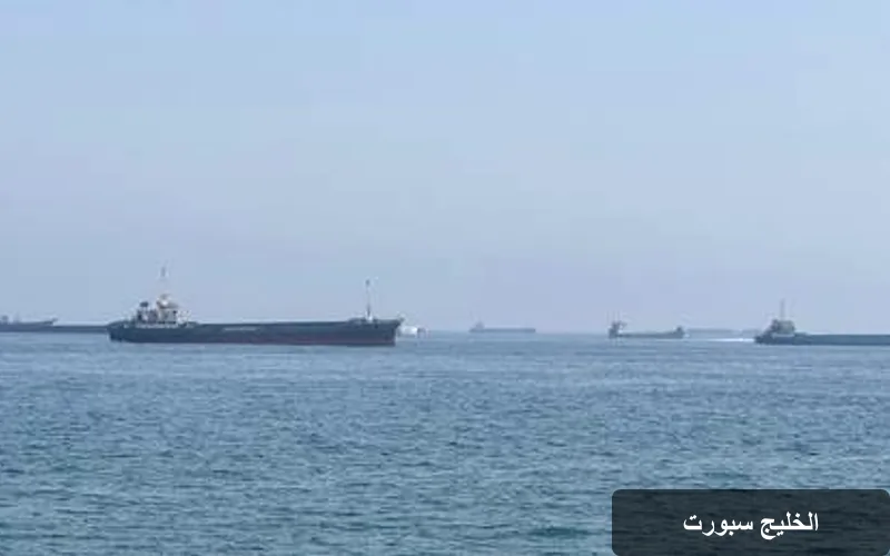 السعودية تستأنف صادرات النفط عبر مضيق هرمز بعد فترة من التوقف