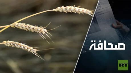 تركيا تبادر لإحياء اتفاقية الحبوب وسط تصاعد التوترات في البحر الأسود
