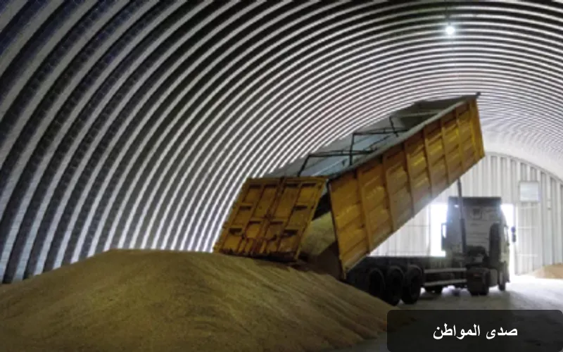 أوكرانيا تواجه تحديات كبيرة في صادرات الحبوب خلال أغسطس
