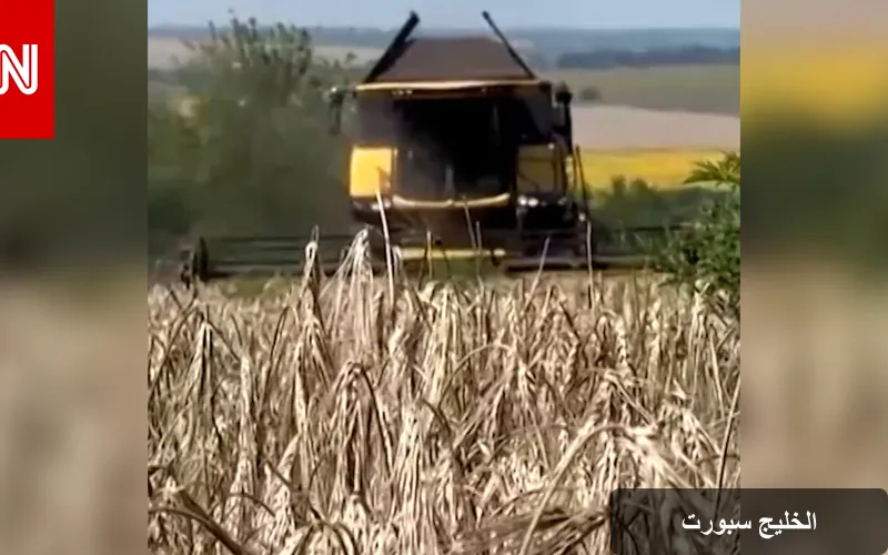 أزمة الحبوب الأوكرانية: تأثيرات عالمية وتهديدات للأمن الغذائي