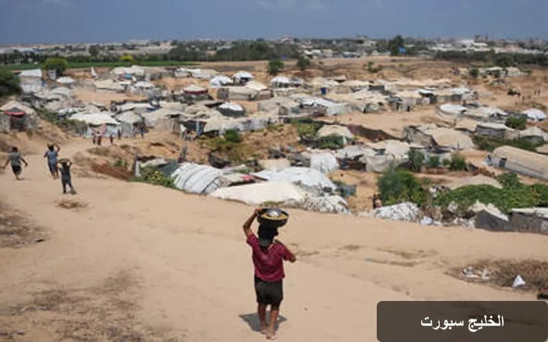 الأمم المتحدة تحذر: فقط 3% من الأراضي الزراعية في غزة صالحة للزراعة