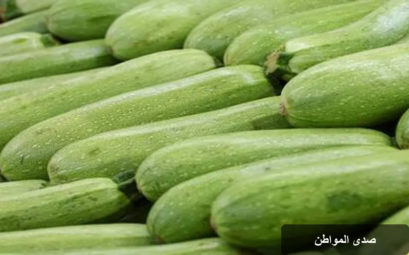الكوسا: كنز صيفي من الفوائد الصحية ونصائح لطهي صحي